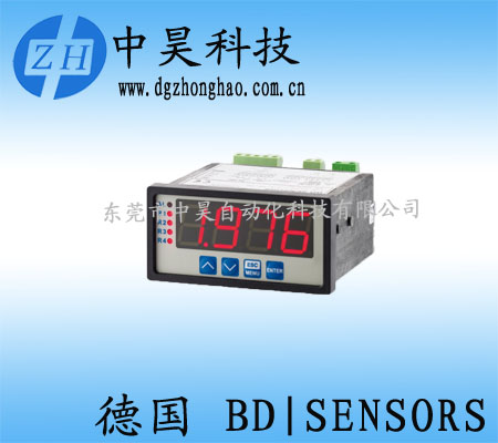 德國BD SENSORS流程顯示器CIT 300